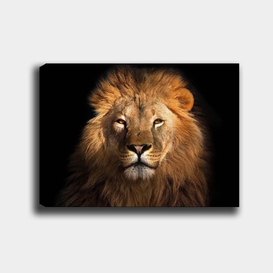 Decorative Canvas Painting 565032793_70100 Multicolor Decorative Canvas Painting 565032793_70100 Multicolor