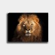Decorative Canvas Painting 565032793_70100 Multicolor Decorative Canvas Painting 565032793_70100 Multicolor