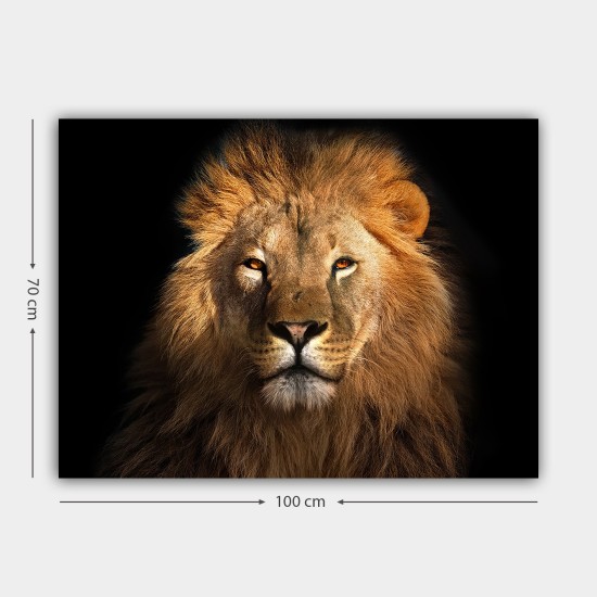 Decorative Canvas Painting 565032793_70100 Multicolor Decorative Canvas Painting 565032793_70100 Multicolor