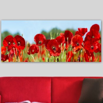 Decorative Canvas Painting YTY1006066429_50120 Multicolor