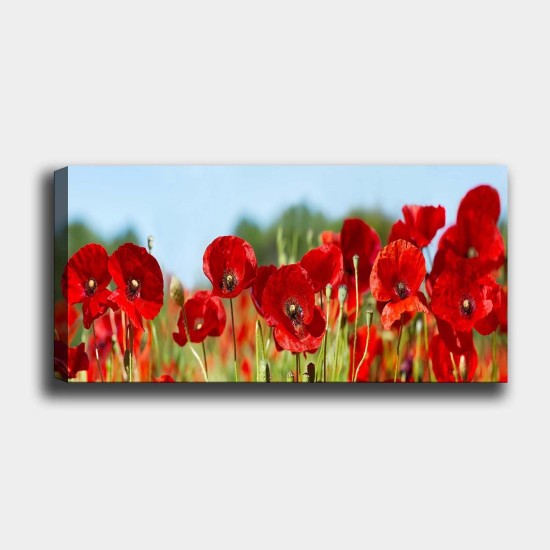 Decorative Canvas Painting YTY1006066429_50120 Multicolor Decorative Canvas Painting YTY1006066429_50120 Multicolor
