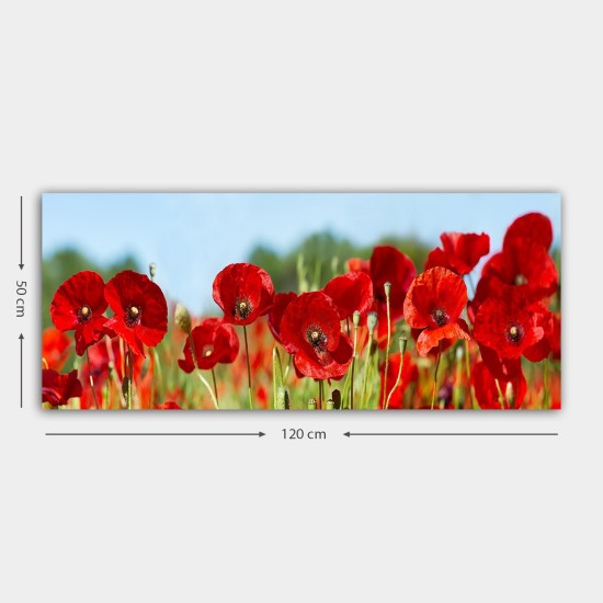 Decorative Canvas Painting YTY1006066429_50120 Multicolor Decorative Canvas Painting YTY1006066429_50120 Multicolor