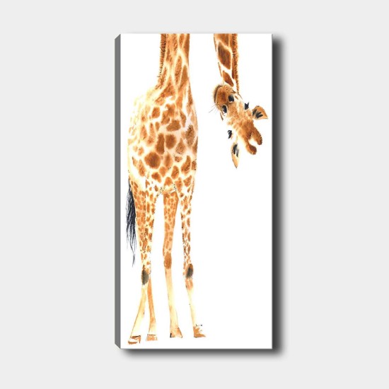 Wallxpert Decorative Canvas Painting DKY2589411454_50120 Multicolor