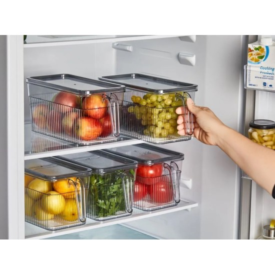 Hermia Fridge Organizer Set (6 Pieces) K-135x6 Transparent