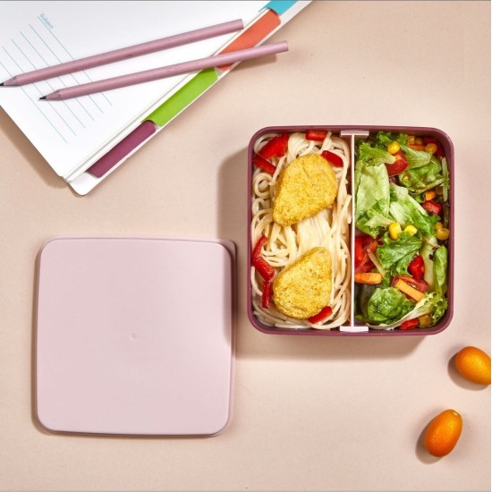 Lunch Box Set (2 Pieces) EM-1013 Pink Hermia Lunch Box Set (2 Pieces) EM-1013 Pink