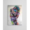 Decorative Canvas Painting WY349 (50 x 70) Multicolor