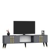 TV Stand Asel - Anthracite, Gold Anthracite
Gold