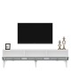 TV Stand Karya - White, Silver White
Silver TV Stand Karya - White, Silver White
Silver