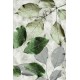 Carpet (60 x 100) Hmnt571 Multicolor