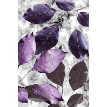 Carpet (80 x 120) Hmnt572 Multicolor