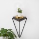 Wall Shelf Rosaceae Black
Dark Walnut