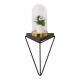 Wall Shelf Rosaceae Black
Dark Walnut