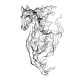 Decorative Metal Wall Accessory Metal Horse Line Art - APT724 Black Wallxpert Decorative Metal Wall Accessory Metal Horse Line Art - APT724 Black