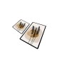 Lessentiel Bathmat Set (2 Pieces) Day Sunrise Multicolor