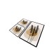 Bathmat Set (3 Pieces) Day Sunrise Multicolor Lessentiel Bathmat Set (3 Pieces) Day Sunrise Multicolor
