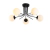 Chandelier Daisy-147-AV2 Black