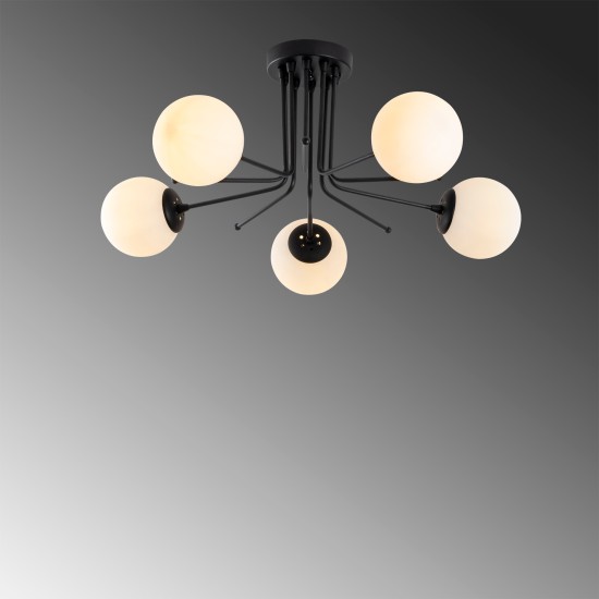 Chandelier Daisy-147-AV2 Black Chandelier Daisy-147-AV2 Black