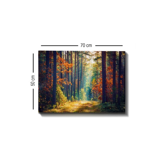 Wallxpert Decorative Canvas Painting Kanvas Tablo (50 x 70) - 274 Multicolor