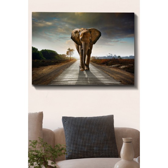 Decorative Canvas Painting Kanvas Tablo (70 x 100) - 175 Multicolor Wallxpert Decorative Canvas Painting Kanvas Tablo (70 x 100) - 175 Multicolor