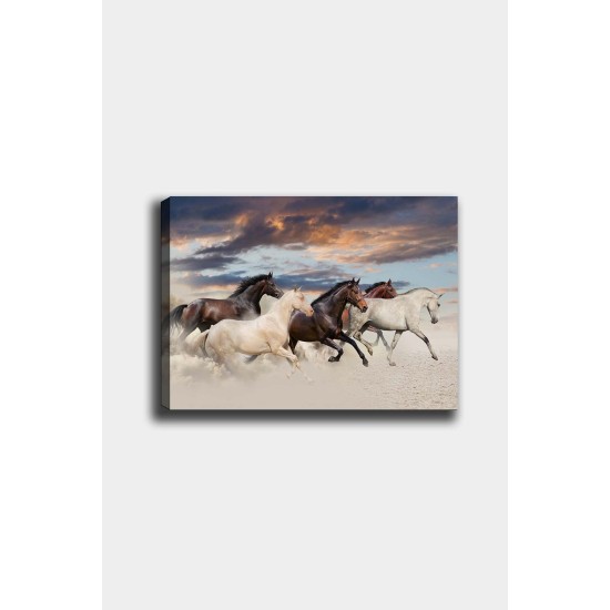 Decorative Canvas Painting 310236866-5070 Multicolor Decorative Canvas Painting 310236866-5070 Multicolor