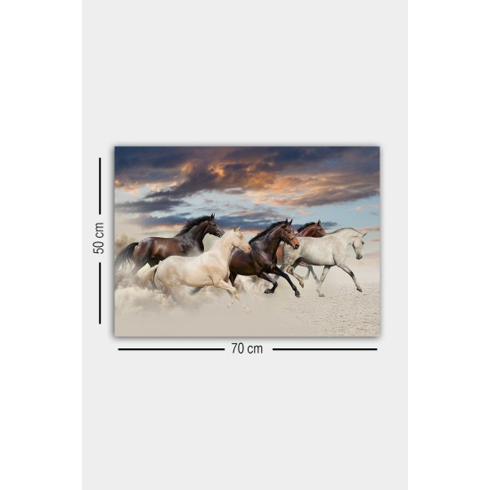 Decorative Canvas Painting 310236866-5070 Multicolor Decorative Canvas Painting 310236866-5070 Multicolor