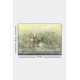 Wallxpert Decorative Canvas Painting 770171806-5070 Multicolor