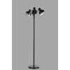 Floor Lamp 8946-2 Black