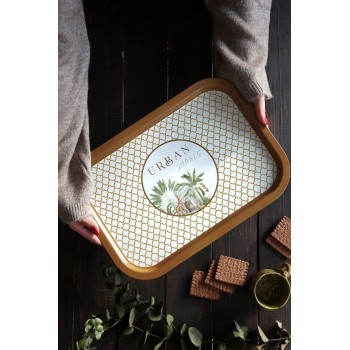 Tray EE1647I Multicolor