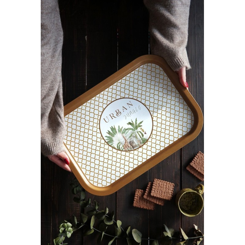 Tray EE1647I Multicolor