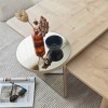Coffee Table Set Luna 2 - Bronzie, Sapphire Oak Bronzie
Saphhire Oak