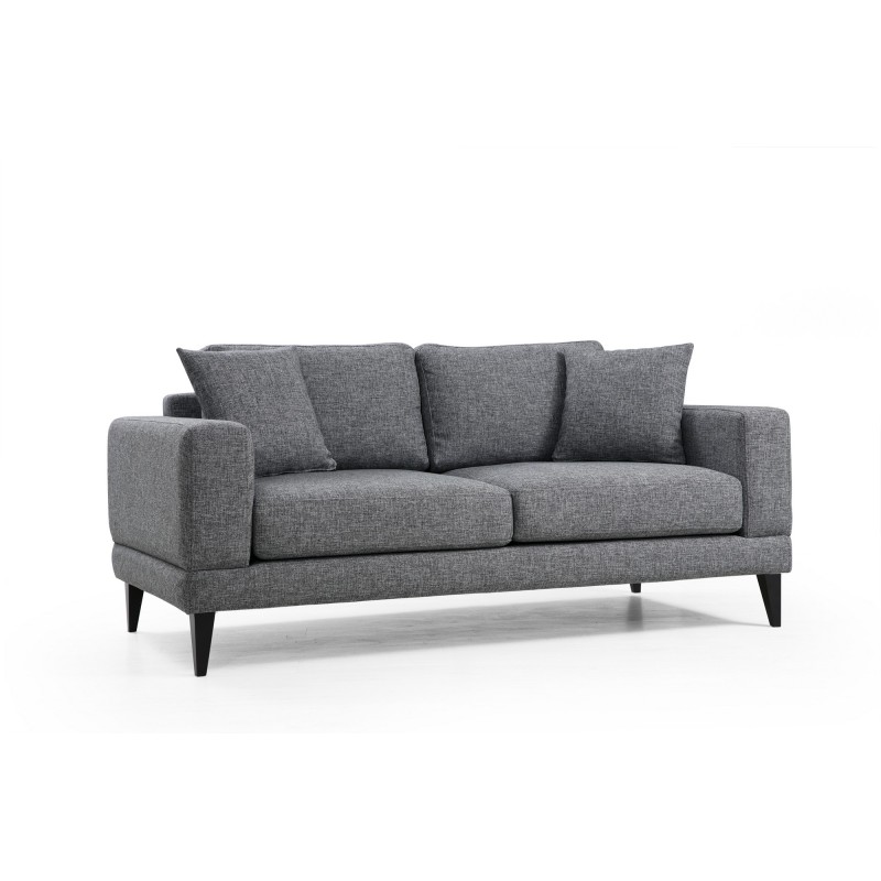 Atelier del Sofa 2-Seat Sofa Nordic 2 Seater Dark Grey