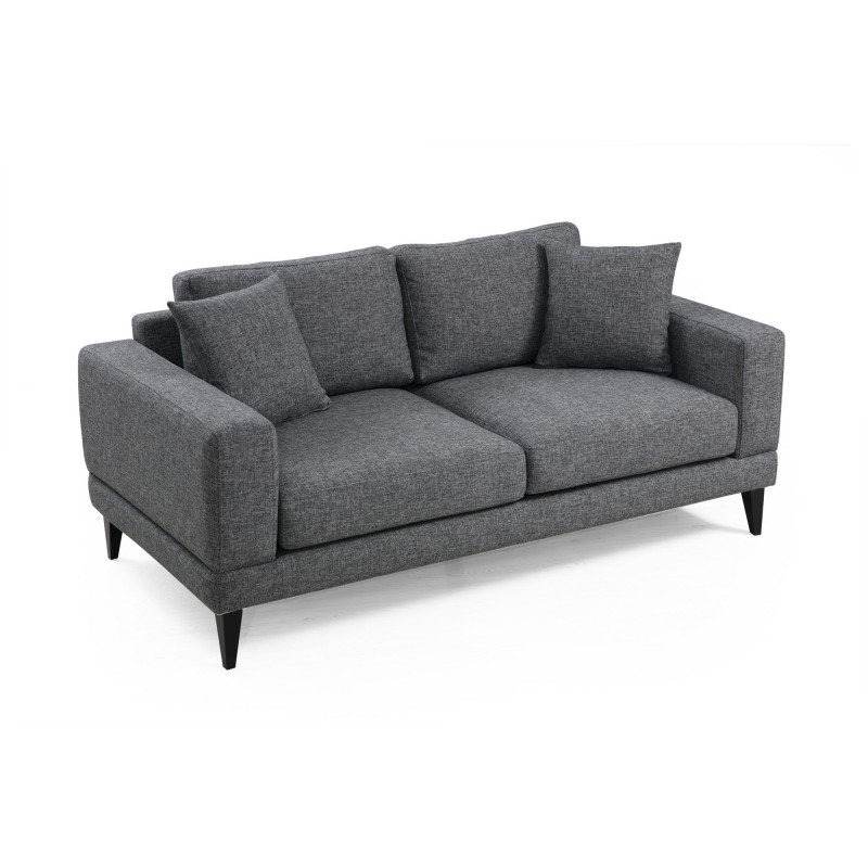 Atelier del Sofa 2-Seat Sofa Nordic 2 Seater Dark Grey