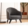 Wing Chair Leon - Anthracite Anthracite