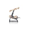 Garden Single Swing Chair Camellia - Multicolor Multicolor