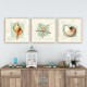Wallxpert Decorative Canvas Painting (3 Pieces) pmdr44 Multicolor