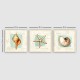 Wallxpert Decorative Canvas Painting (3 Pieces) pmdr44 Multicolor