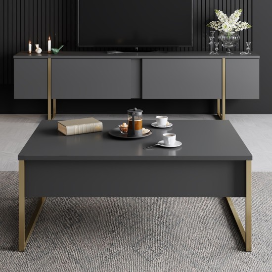 TV Stand Luxe - Anthracite, Gold Anthracite
Gold Hanah Home TV Stand Luxe - Anthracite, Gold Anthracite
Gold
