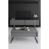 TV Unit Luxe - Anthracite, Silver Anthracite
Silver