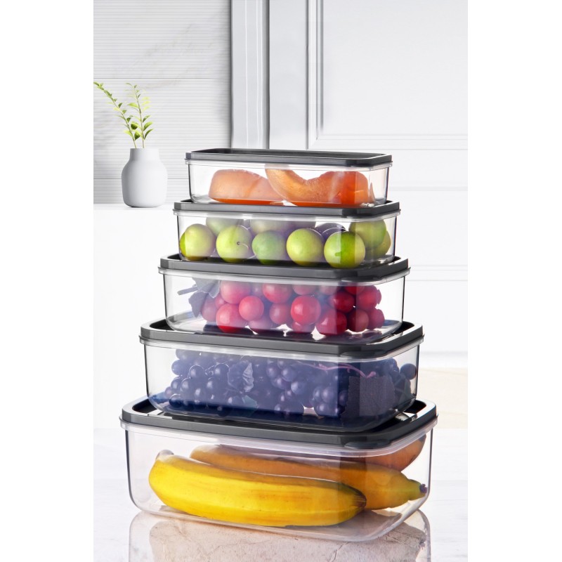 Hermia Storage Box Set (5 Pieces) EMBSEF05-3581321 Transparent