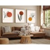 Wallxpert Decorative Framed MDF Painting (3 Pieces) Huhu215 - 50 x 70 Multicolor