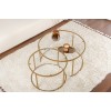 Coffee Table Set Gold-Transparent-80-60 Gold