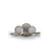 Dinner Set (16 Pieces) FRZ16YS856A14520 Grey
Gold
