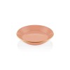 Plate Set (6 Pieces) BSC0017 Salmon