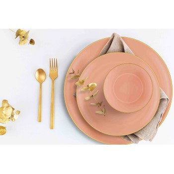 Dinner Set (24 Pieces) BSC0021 Salmon