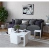 Hanah Home Coffee Table Set Ortanca - White White