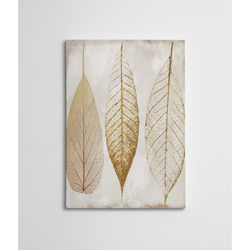 Wallxpert Decorative Canvas Painting WY81 (50 x 70) Multicolor