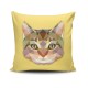Cushion Cover NKLF-407 Multicolor Aberto Design Cushion Cover NKLF-407 Multicolor