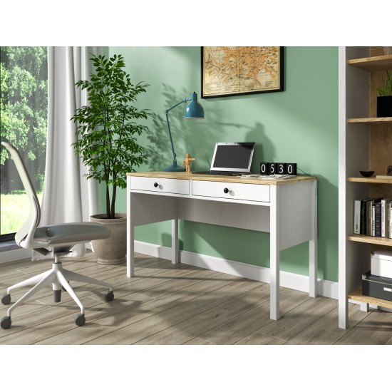 Study Desk FRN-20037 Wooden
White Study Desk FRN-20037 Wooden
White