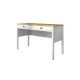 Study Desk FRN-20037 Wooden
White Study Desk FRN-20037 Wooden
White