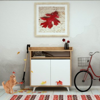 Shoe Cabinet Springa Oak
White